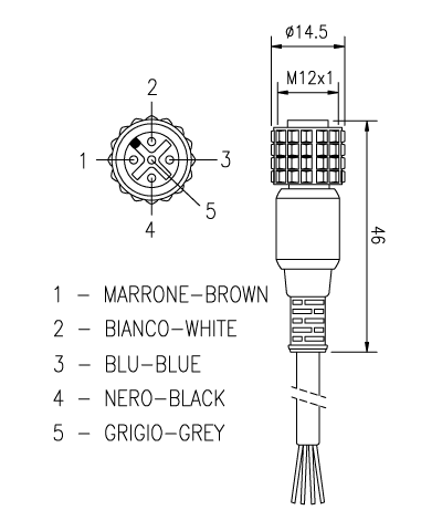 CD10 (2)