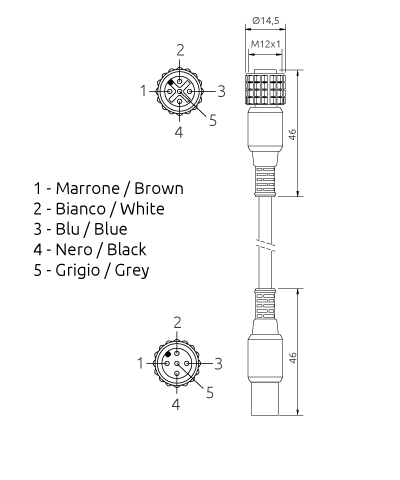 CFM 5P 5 (2)