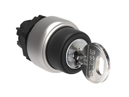 Platinum Plastic Selector Actuators Key 1>0<2