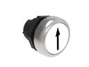 Platinum Plastic Flush Pushbutton White "ARROW"