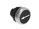 Platinum Plastic Flush Pushbutton Black "RIGHT-LEFT ARROW"