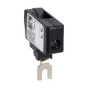 [G231] ENLARGED 1P TERM BF09-25