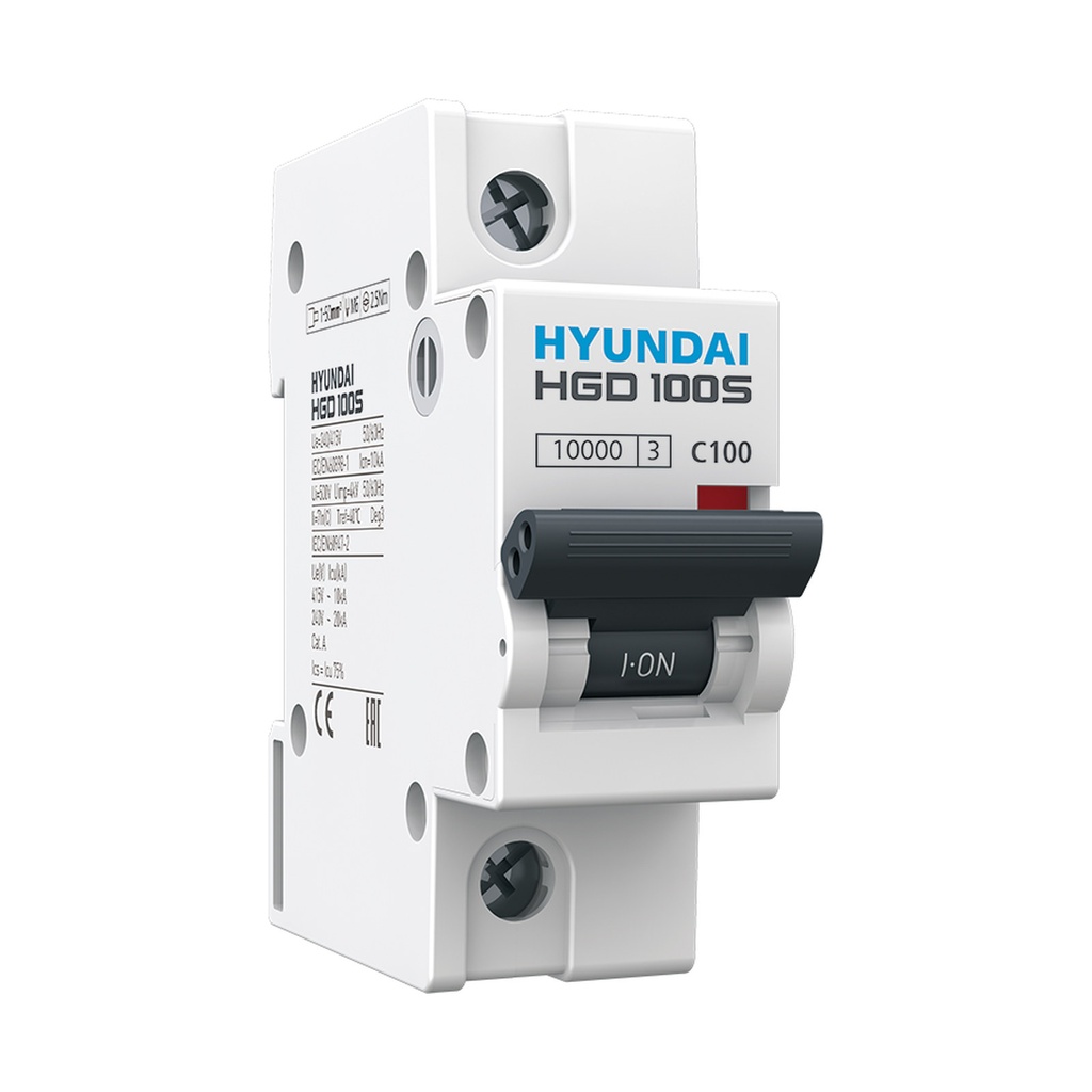 Miniature Circuit Breaker (MCB), 1P 100A, 10kA C-Curve