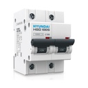 [HGD100S2PMDS0000C00080] Miniature Circuit Breaker (MCB), 2P 80A, 10kA D-Curve