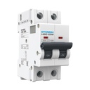 [HGD63M2PMCS0000C00010] Miniature Circuit Breaker (MCB), 2P 10A, 6kA C-Curve