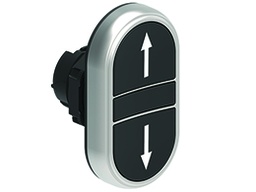 Platinum Plastic Double Flush Pushbutton, Black/Black "?"/"?"