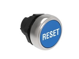 Platinum Plastic Flush Pushbutton Blue "RESET"